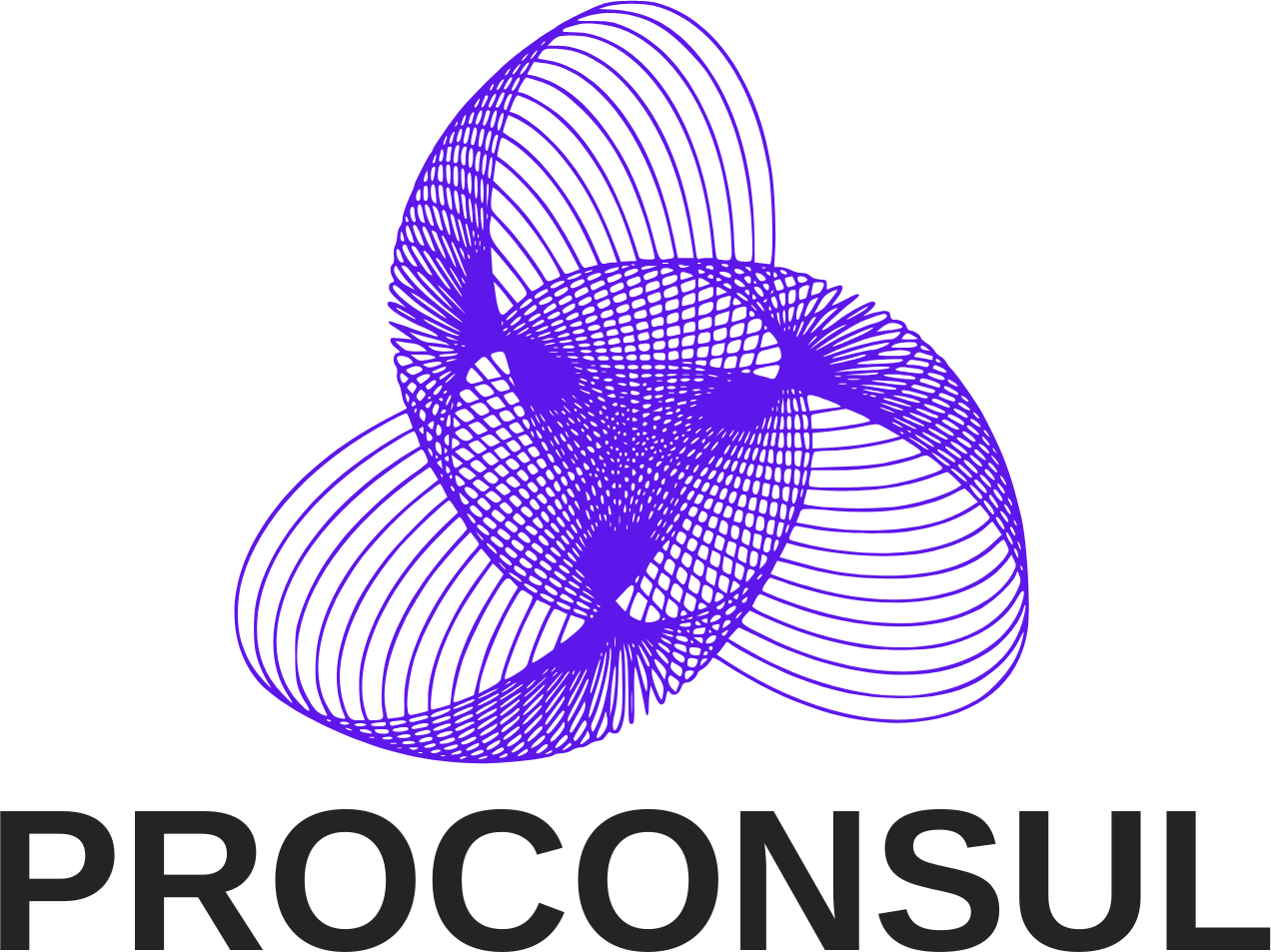 proConsul Logo